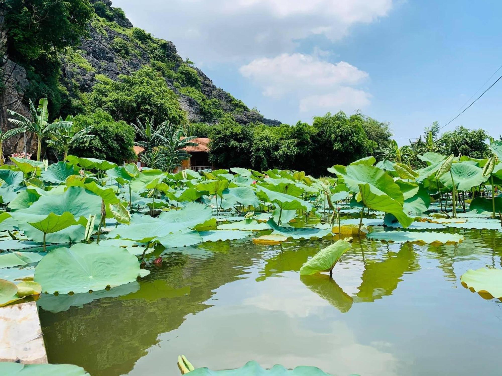 Lake Retreat 宁平 外观 照片