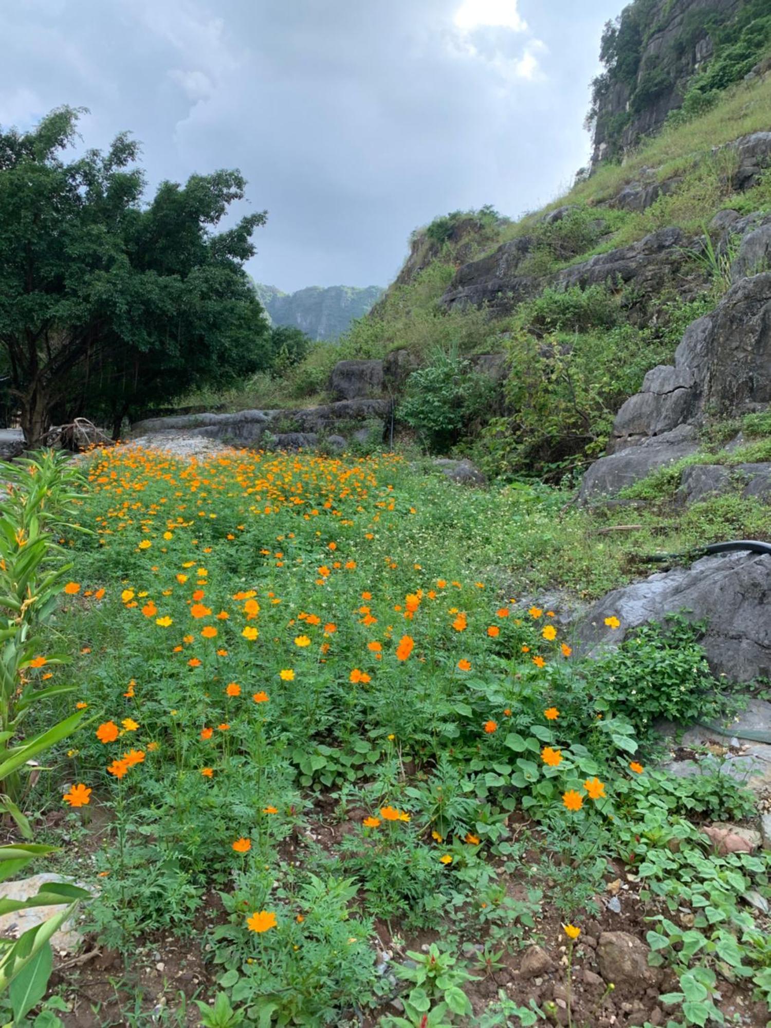 Lake Retreat 宁平 外观 照片