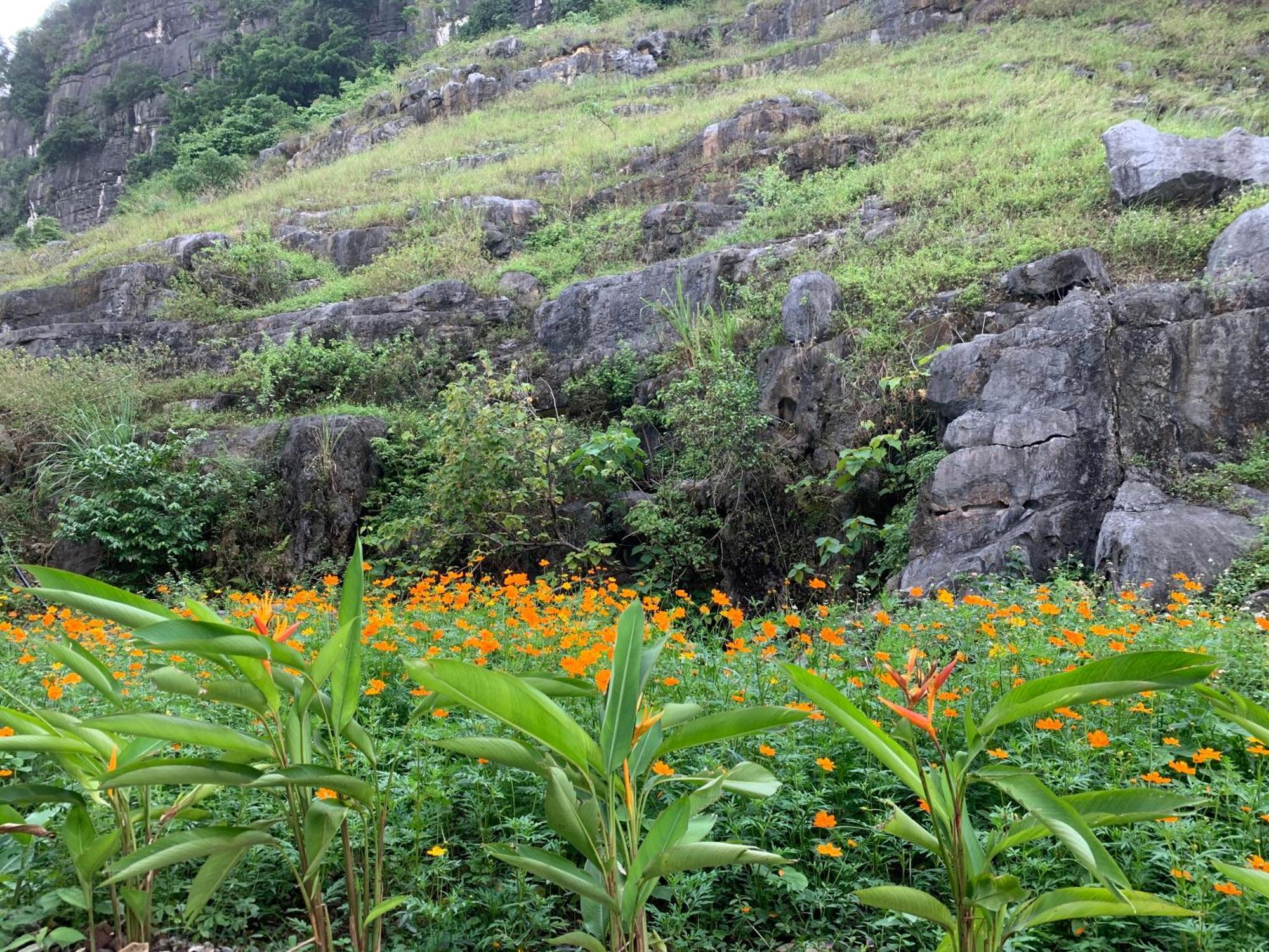 Lake Retreat 宁平 外观 照片